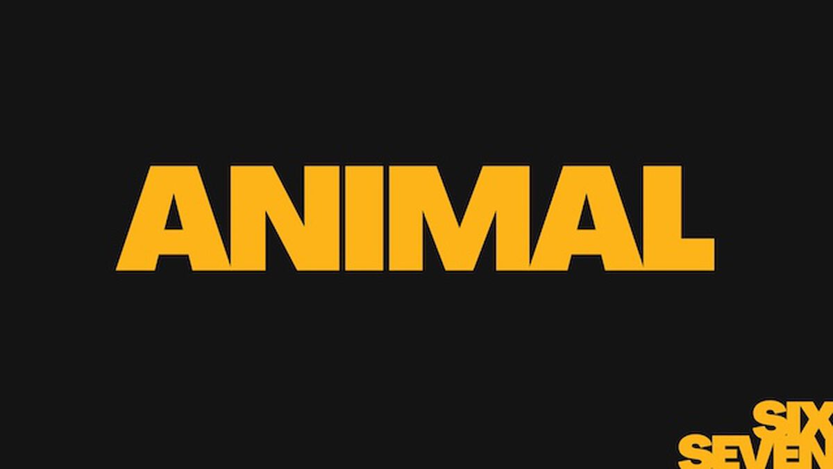 6/7 Showdown image number null